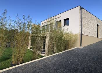 2024988 image1 - Sainte Foy Immobilier - Ce sont des agences immobilières dans l'Ouest Lyonnais spécialisées dans la location de maison ou d'appartement et la vente de propriété de prestige.